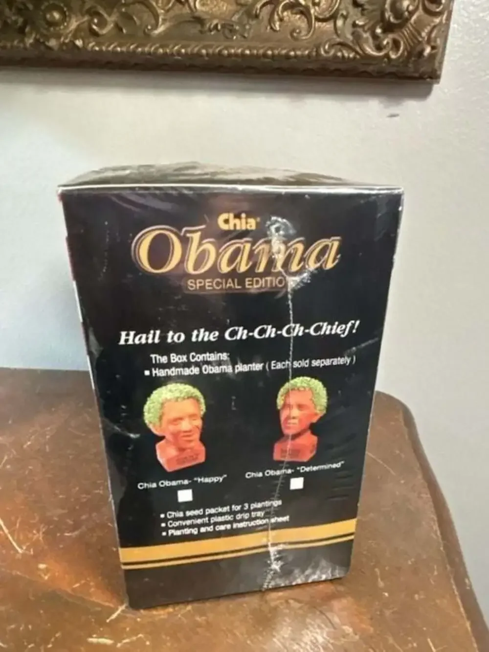 Chia Pet determined he